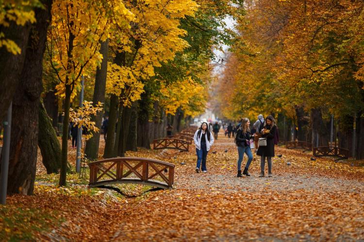 Magia toamnei în Cluj-Napoca: Natură și tradiție într-un peisaj de vis GALERIE FOTO