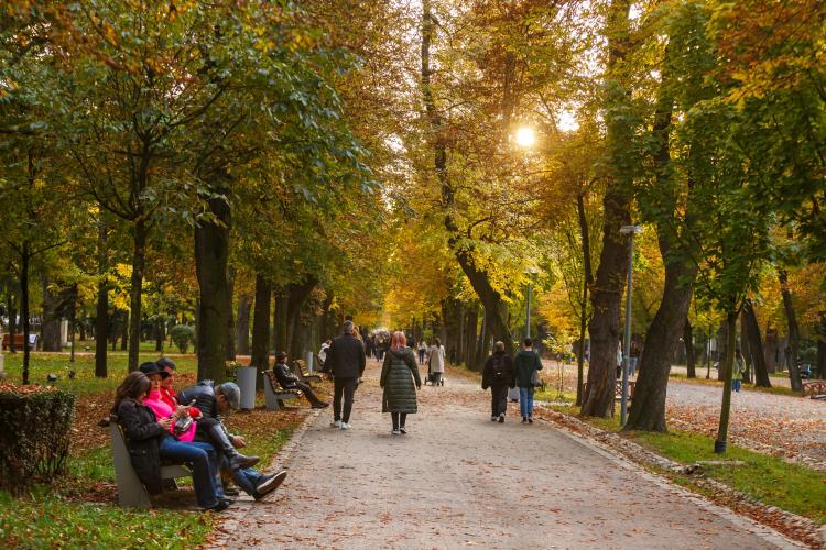 Se încălzește ușor la Cluj! Cum va fi vremea spre finalul săptămânii