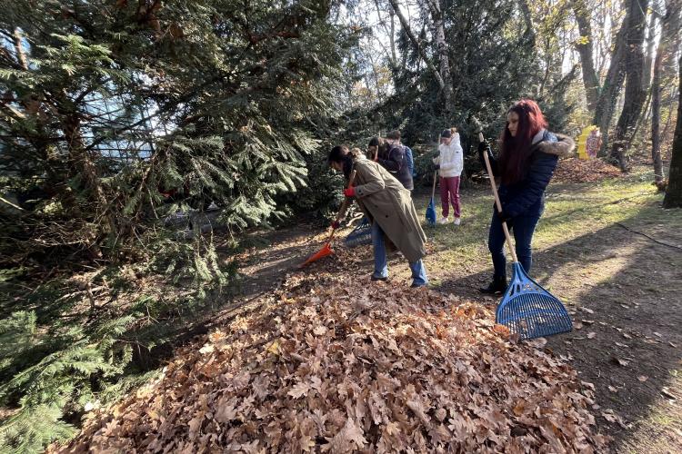 Mobilizare exemplară a studenților UBB Cluj la Grădina Botanică „Alexandru Borza”: Mulțumim că ne ajutați”