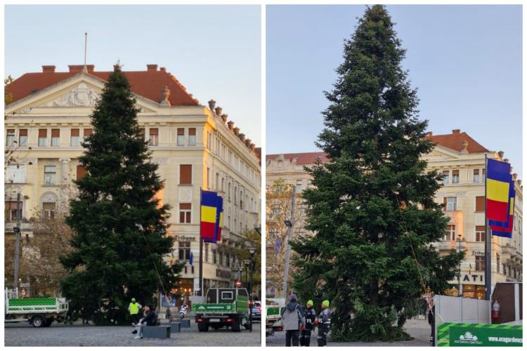 Bradul de Crăciun 2024 a ajuns în Piața Unirii din Cluj-Napoca! Are 20 de metri și este gata de împodobire. Ce ziceți, e frumos? FOTO/VIDEO