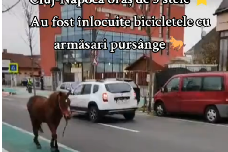 VIDEO: Cal filmat plimbându-se „REGULAMENTAR” pe pista de biciclete în Cluj: „Clujul schimbă roțile pe copite și testează transportul cu cai”