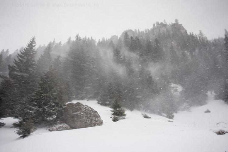 Avertizare meteo ANM! COD GALBEN de viscol și ninsori în zona de munte a Clujului