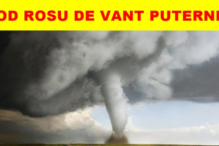 COD ROȘU de vânt puternic la Cluj. Evitați deplasările în zonele afectate, există un risc mare de accidentări! Vântul poate depăși 120 km/h