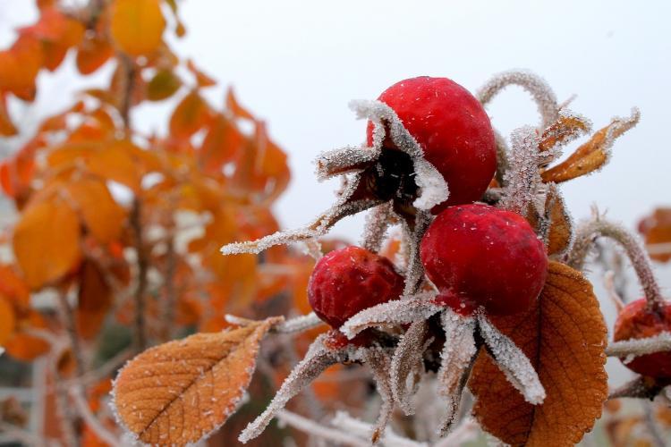 Cum va fi vremea în minivacanța de 1 decembrie. Prognoza transmisă de meteorologi 