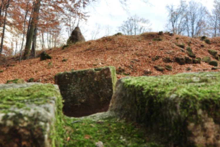 Un monument din Ardeal, inclus pe lista patromoniului UNESCO a fost vandalizat cu nesimțire! Polițiștii au deschis un dosar penal