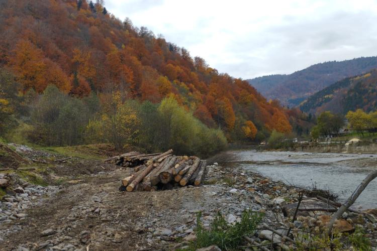 Hoții de lemne au fost amendați de Garda Forestieră Cluj. Au provocat un prejudiciu de peste 300.000 de lei încercând să fure 634,581 mc de arbori