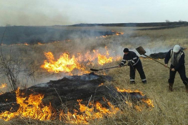 Livada unui clujean, mistuită de flăcări! Incendiul ar fi fost provocat de doi indivizi necunoscuți