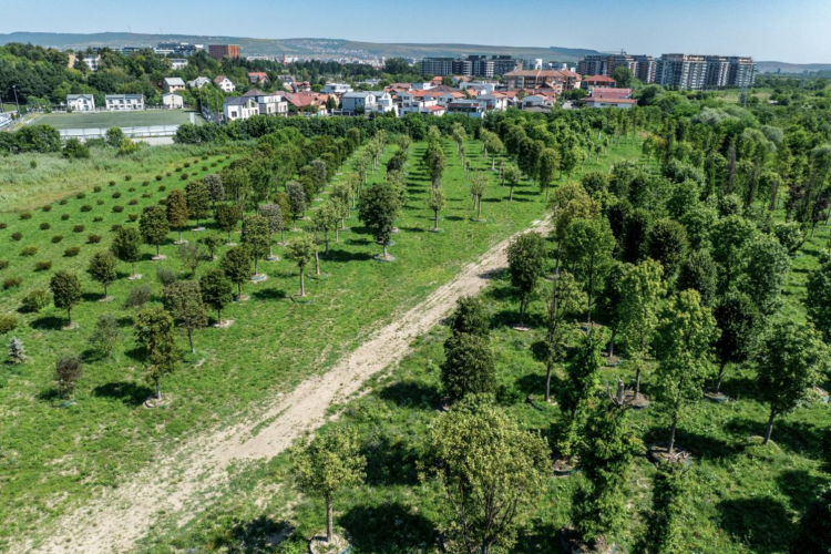 Un parc IMPRESIONANT pe 5 hectare, cu 700 de copaci, apare la Cluj! Unde va fi amplasat și completat și cu grădină japoneză pe acoperiș FOTO