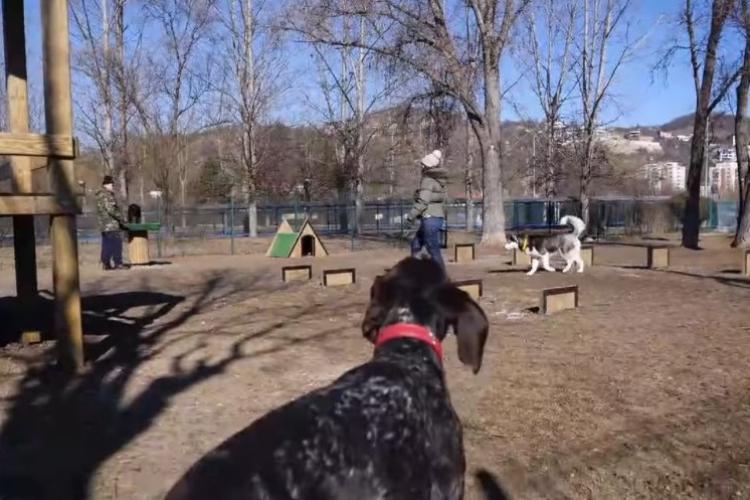  Primăria Cluj-Napoca, acuzată că și-a bătut joc de un parc pentru câini: „Luați decizii care mai mult încurcă decât ajută”