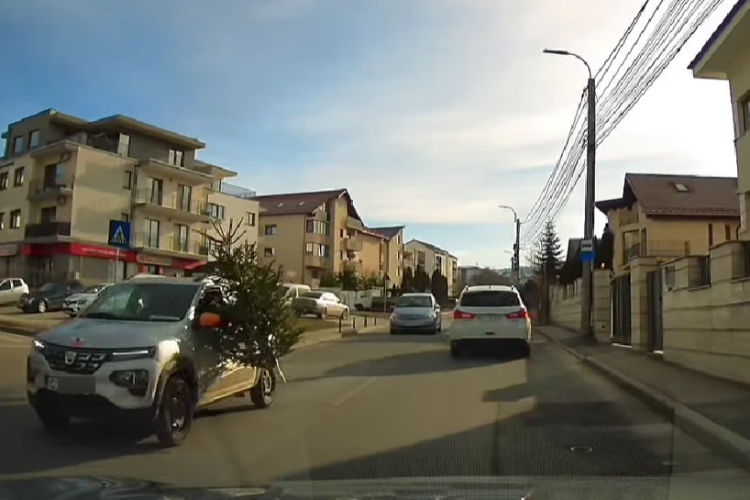 Clujenii sunt descurcăreți! Metoda prin care un șofer a reușit să transporte bradul folosit de Crăciun: ,,Springuț brăduț” - VIDEO