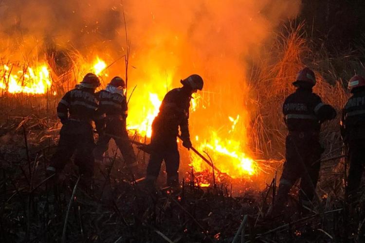 Incendii de vegetație scăpate de sub control! Armata trimite avioane și trupe pentru a sprijini pompierii VIDEO 