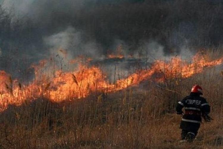 Luptă contra cronometru pentru pompieri! Un incendiu violent a mistuit 20 de hectare