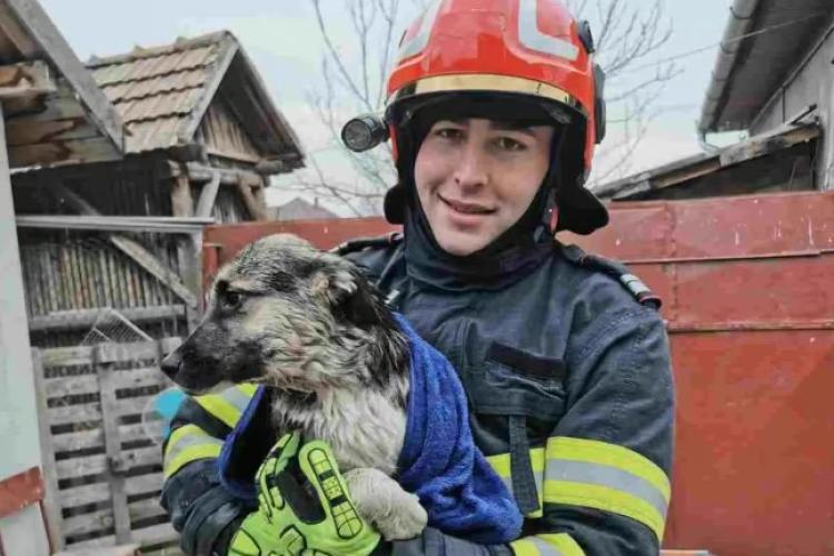 Intervenție contracronometru! Un câine blocat într-o fântână de 20 de metri, salvat în ultimul moment 