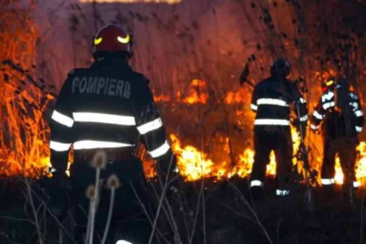 Incendii devastatoare! Sute de hectare au fost afectate, pompierii și Armata au intervenit de urgență 