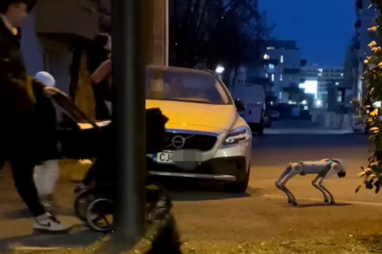 Câine-robot la plimbare cu familia prin Cluj: Aceeași „vedetă” de la evenimente sau o creație AI? Oare așa va arăta viitorul ?  VIDEO