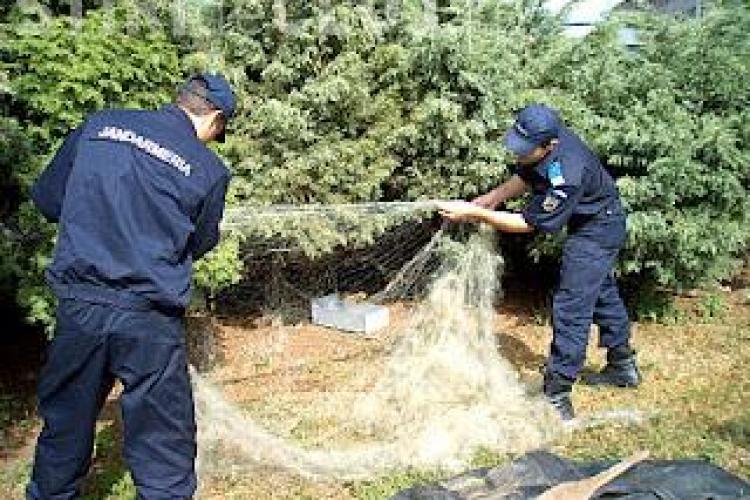 Braconieri prinsi la Fizesu Gherlii cu 2.300 de metri de plasa monifilament