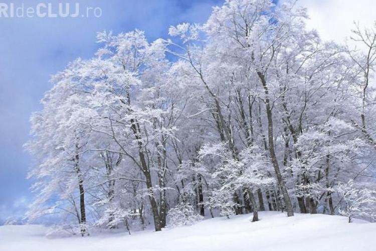 Prognoza METEO în Transilvania. GER în prima parte din ianuarie