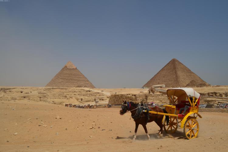 Egiptul, așa cum nu l-ai văzut la știri! O mare care te transpune în Avatar, daca te încumeți să faci scufundări - FOTO REPORTAJ
